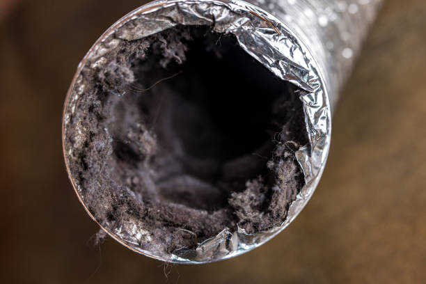 Best Air Duct Cleaning Near Me in San Marcos, CA